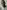 Afolabi-Alli-headshot-439x600-Photo-YellowBellyPhoto Afolabi Alli photo portrait