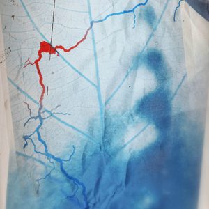 Mnemonic-2024-National-Theatre-2000x2000 Artwork with two superimposed images, one of a very blurred human face over which is a translucent image of a leaf. On top of these is a meandering line in blue, red and blue again, that could be a river, or capilliaries.