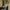 NTL-2019-Hansard-Lyndsey-Duncan-Photography-by-Catherine-Ashmore-2000x2000