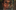 NowhereToCallHome-Afaz A close-up of a man's face